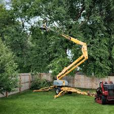 Best Arborist Consultation Services  in San Miguel, CA