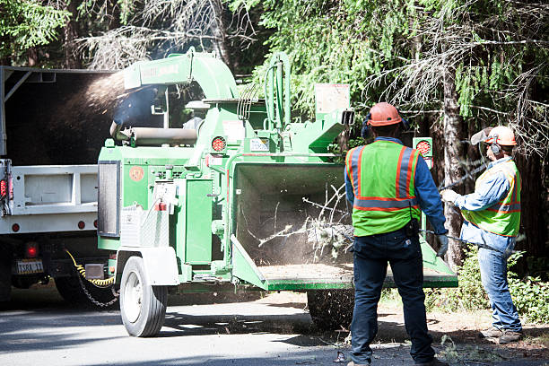 Best Soil Testing and Treatment  in San Miguel, CA
